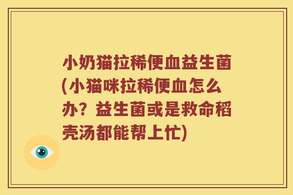 小奶猫拉稀便血益生菌(小猫咪拉稀便血怎么办？益生菌或是救命稻壳汤都能帮上忙)