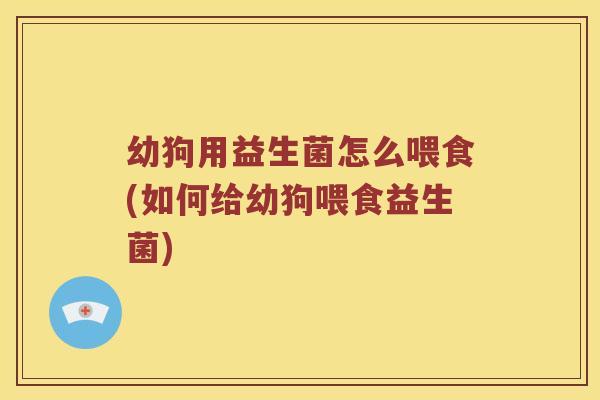 幼狗用益生菌怎么喂食(如何给幼狗喂食益生菌)