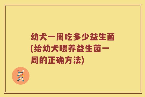 幼犬一周吃多少益生菌(给幼犬喂养益生菌一周的正确方法)