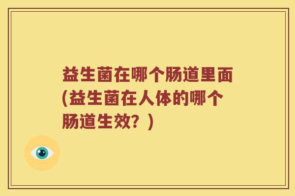 益生菌在哪个肠道里面(益生菌在人体的哪个肠道生效？)