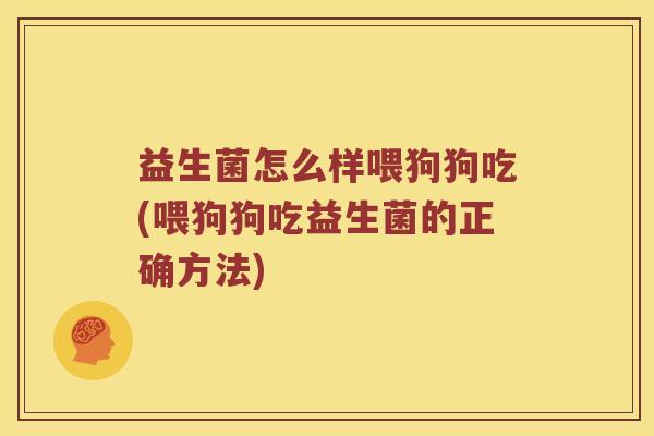益生菌怎么样喂狗狗吃(喂狗狗吃益生菌的正确方法)