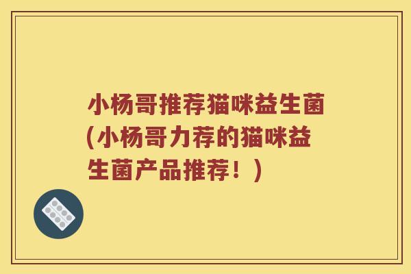 小杨哥推荐猫咪益生菌(小杨哥力荐的猫咪益生菌产品推荐!) 小杨哥推荐猫咪益生菌(小杨哥力荐的猫咪益生菌产品推荐!)