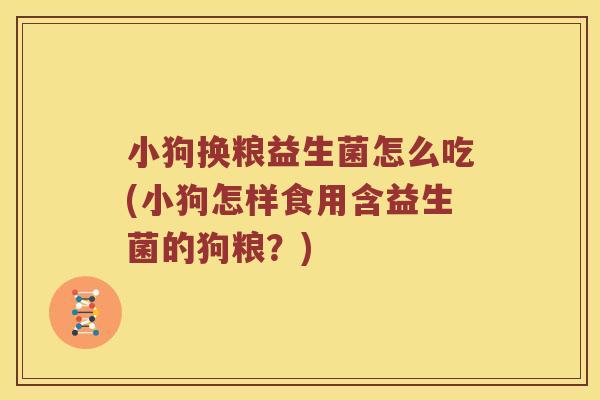 小狗换粮益生菌怎么吃(小狗怎样食用含益生菌的狗粮？)