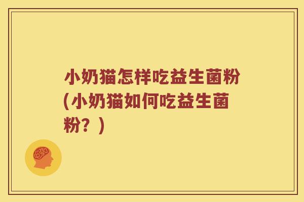 小奶猫怎样吃益生菌粉(小奶猫如何吃益生菌粉？)