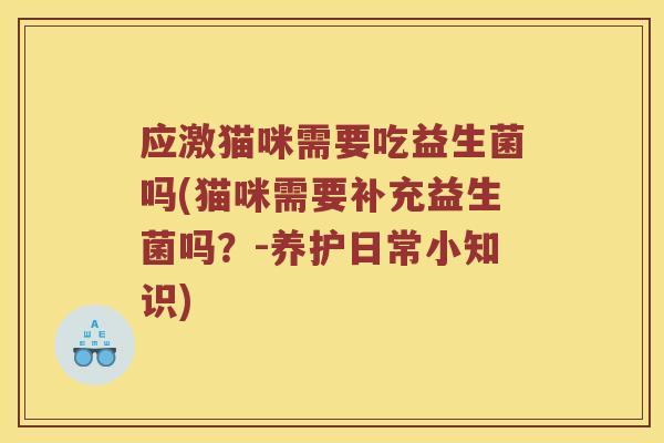 应激猫咪需要吃益生菌吗(猫咪需要补充益生菌吗?-养护日常小知识) 应激猫咪需要吃益生菌吗(猫咪需要补充益生菌吗?-养护日常小知识)