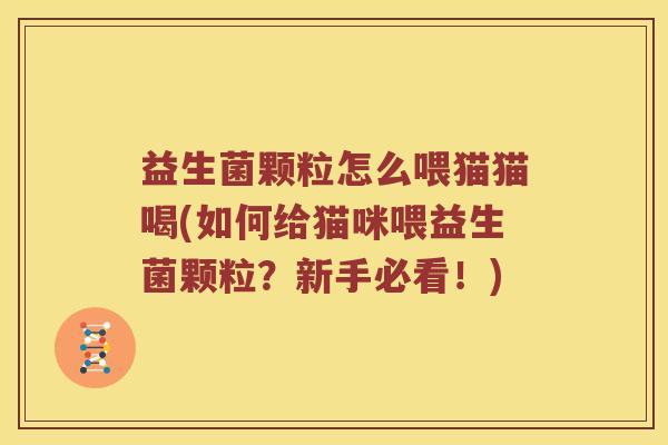 益生菌颗粒怎么喂猫猫喝(如何给猫咪喂益生菌颗粒?新手必看!) 益生菌颗粒怎么喂猫猫喝(如何给猫咪喂益生菌颗粒?新手必看!)