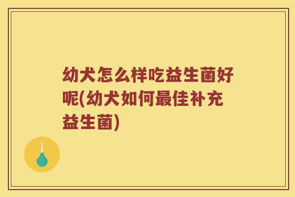 幼犬怎么样吃益生菌好呢(幼犬如何最佳补充益生菌)