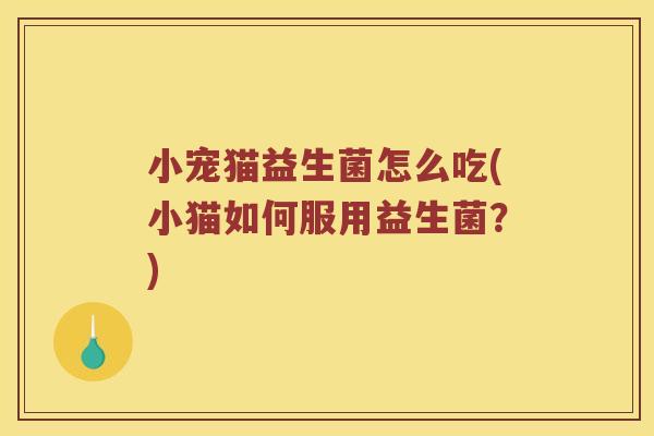 小宠猫益生菌怎么吃(小猫如何服用益生菌？)