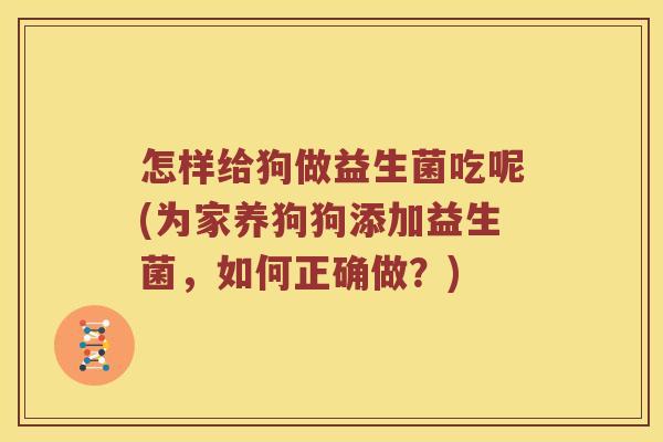 怎样给狗做益生菌吃呢(为家养狗狗添加益生菌，如何正确做？)