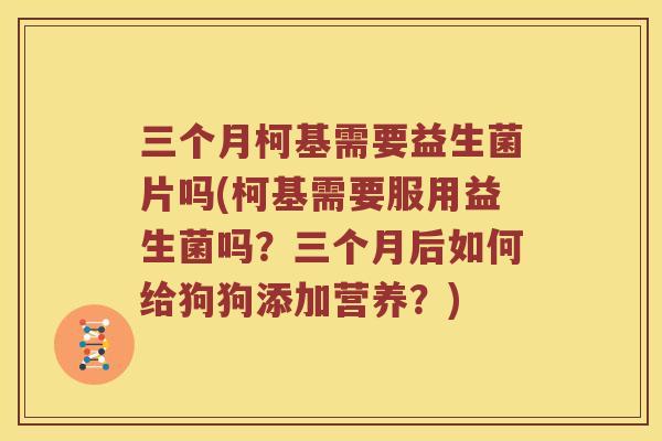 三个月柯基需要益生菌片吗(柯基需要服用益生菌吗？三个月后如何给狗狗添加营养？)