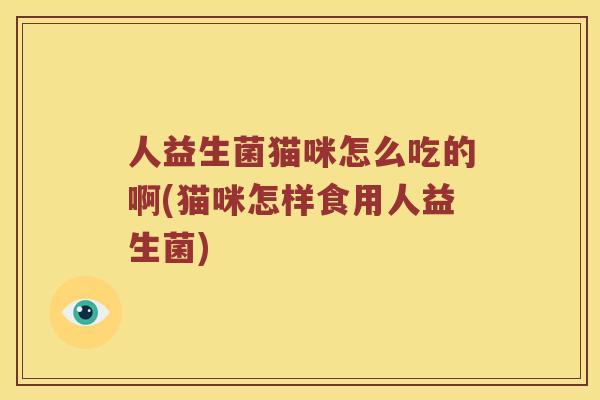 人益生菌猫咪怎么吃的啊(猫咪怎样食用人益生菌)