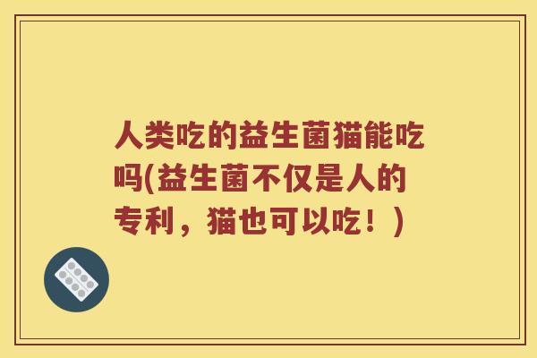 人类吃的益生菌猫能吃吗(益生菌不仅是人的专利，猫也可以吃！)