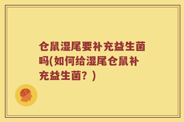 仓鼠湿尾要补充益生菌吗(如何给湿尾仓鼠补充益生菌？)