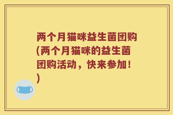两个月猫咪益生菌团购(两个月猫咪的益生菌团购活动，快来参加！)