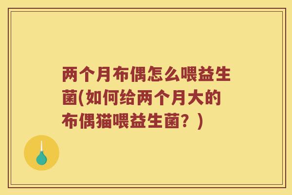 两个月布偶怎么喂益生菌(如何给两个月大的布偶猫喂益生菌？)