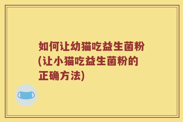 如何让幼猫吃益生菌粉(让小猫吃益生菌粉的正确方法)