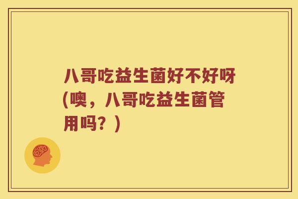 八哥吃益生菌好不好呀(噢，八哥吃益生菌管用吗？)