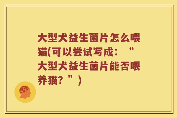 大型犬益生菌片怎么喂猫(可以尝试写成：“大型犬益生菌片能否喂养猫？”)