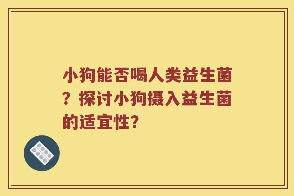 小狗能否喝人类益生菌？探讨小狗摄入益生菌的适宜性？