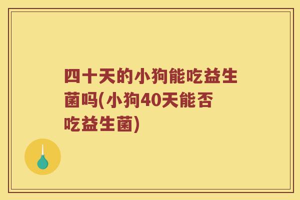 四十天的小狗能吃益生菌吗(小狗40天能否吃益生菌)