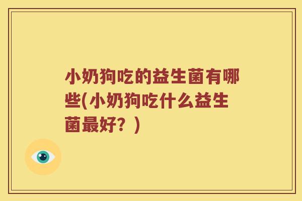 小奶狗吃的益生菌有哪些(小奶狗吃什么益生菌最好？)