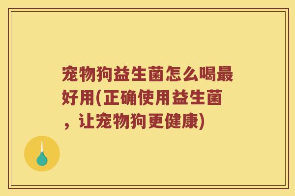 宠物狗益生菌怎么喝最好用(正确使用益生菌，让宠物狗更健康)