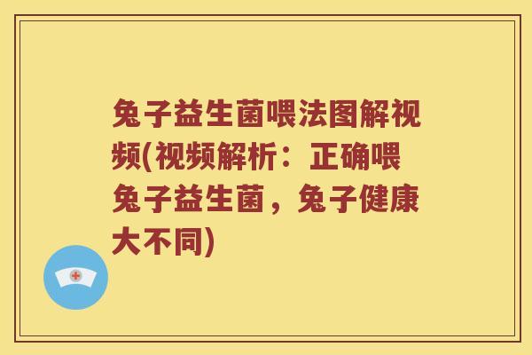 兔子益生菌喂法图解视频(视频解析：正确喂兔子益生菌，兔子健康大不同)