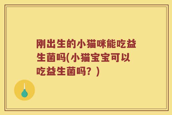 刚出生的小猫咪能吃益生菌吗(小猫宝宝可以吃益生菌吗？)