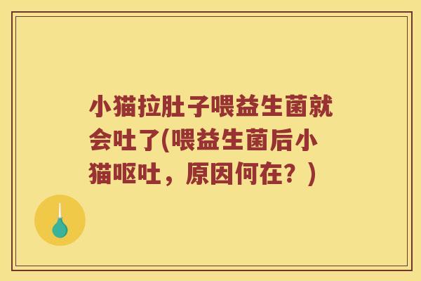 小猫拉肚子喂益生菌就会吐了(喂益生菌后小猫,原因何在?) 小猫拉肚子喂益生菌就会吐了(喂益生菌后小猫,原因何在?)