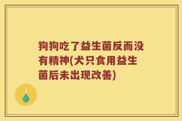 狗狗吃了益生菌反而没有精神(犬只食用益生菌后未出现改善)