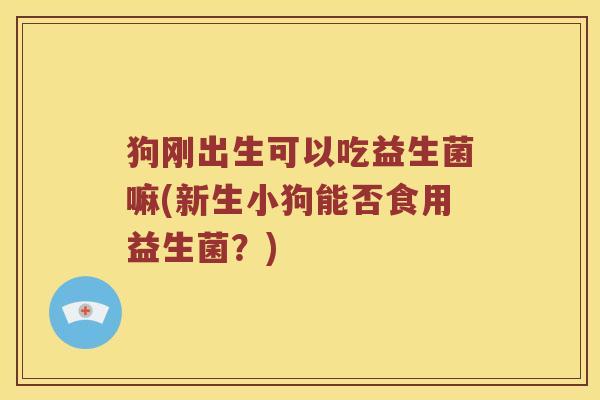 狗刚出生可以吃益生菌嘛(新生小狗能否食用益生菌？)