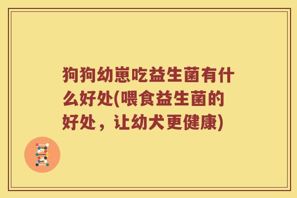 狗狗幼崽吃益生菌有什么好处(喂食益生菌的好处，让幼犬更健康)