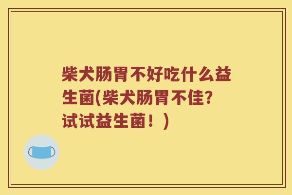 柴犬肠胃不好吃什么益生菌(柴犬肠胃不佳？试试益生菌！)