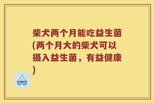柴犬两个月能吃益生菌(两个月大的柴犬可以摄入益生菌，有益健康)
