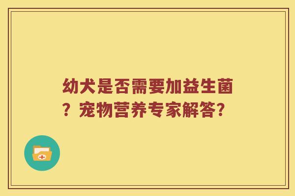 幼犬是否需要加益生菌？宠物营养专家解答？