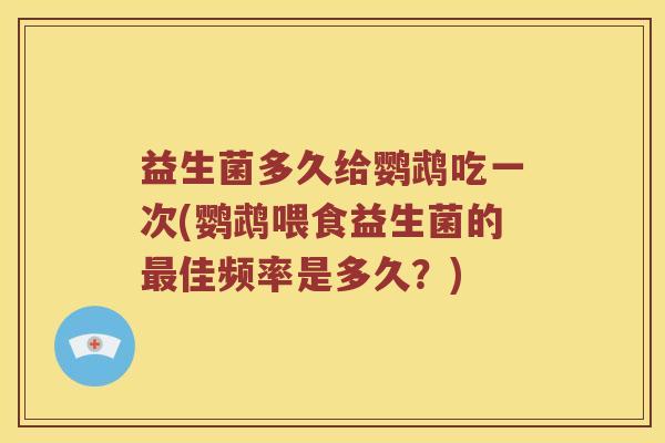 益生菌多久给鹦鹉吃一次(鹦鹉喂食益生菌的佳频率是多久？)