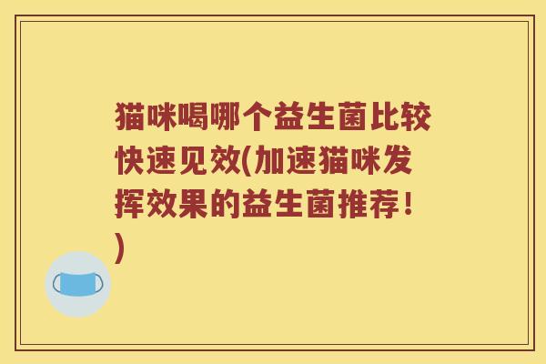 猫咪喝哪个益生菌比较快速见效(加速猫咪发挥效果的益生菌推荐！)