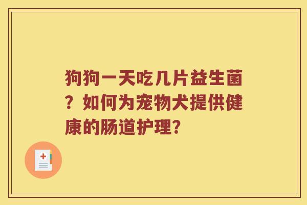 狗狗一天吃几片益生菌？如何为宠物犬提供健康的肠道护理？
