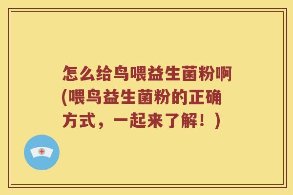 怎么给鸟喂益生菌粉啊(喂鸟益生菌粉的正确方式，一起来了解！)