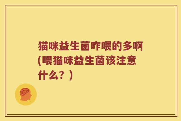猫咪益生菌咋喂的多啊(喂猫咪益生菌该注意什么？)