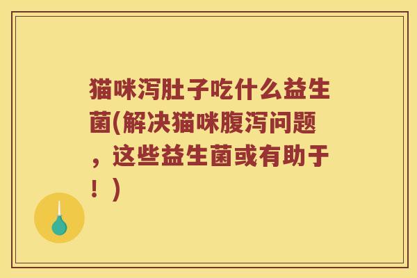 猫咪泻肚子吃什么益生菌(解决猫咪腹泻问题，这些益生菌或有助于！)