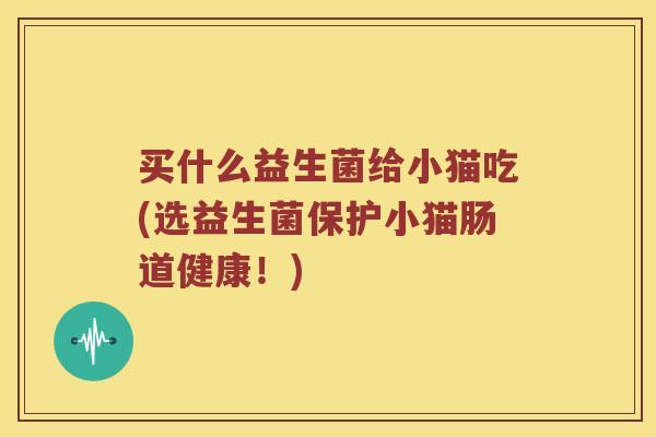 买什么益生菌给小猫吃(选益生菌保护小猫肠道健康！)