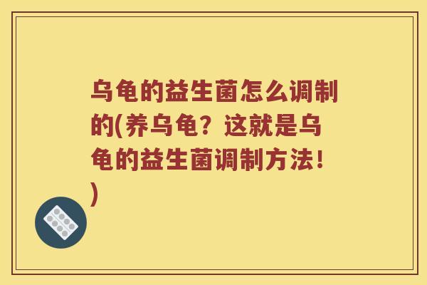 乌龟的益生菌怎么调制的(养乌龟？这就是乌龟的益生菌调制方法！)