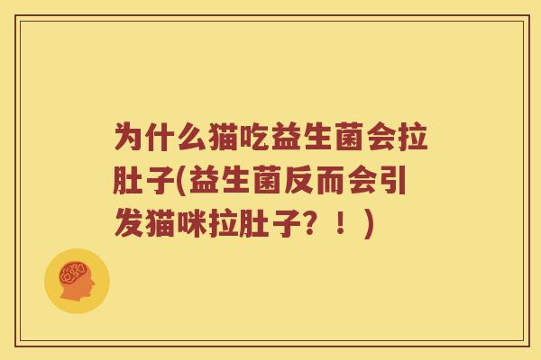 为什么猫吃益生菌会拉肚子(益生菌反而会引发猫咪拉肚子？！)