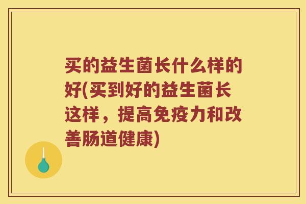 买的益生菌长什么样的好(买到好的益生菌长这样，提高免疫力和改善肠道健康)