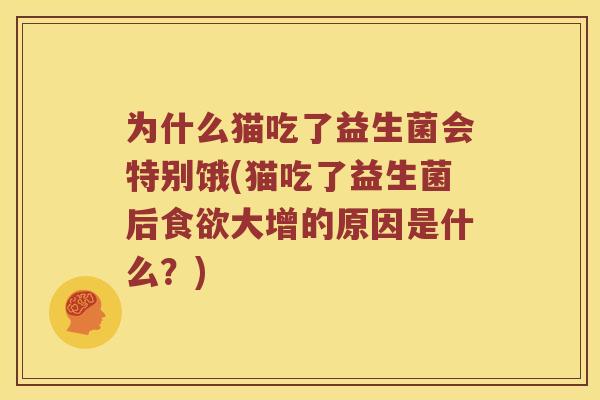 为什么猫吃了益生菌会特别饿(猫吃了益生菌后食欲大增的原因是什么？)