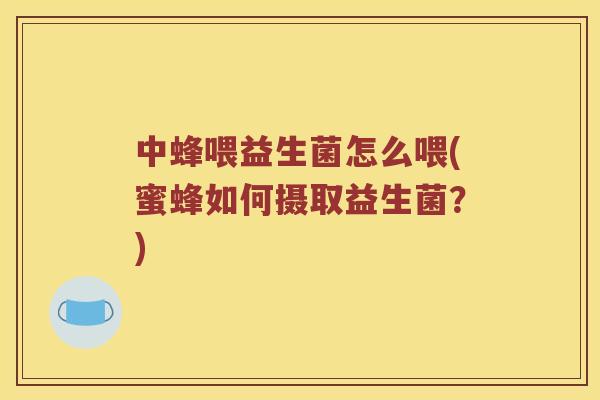 中蜂喂益生菌怎么喂(蜜蜂如何摄取益生菌？)