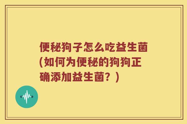 便秘狗子怎么吃益生菌(如何为便秘的狗狗正确添加益生菌？)