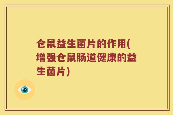 仓鼠益生菌片的作用(增强仓鼠肠道健康的益生菌片)