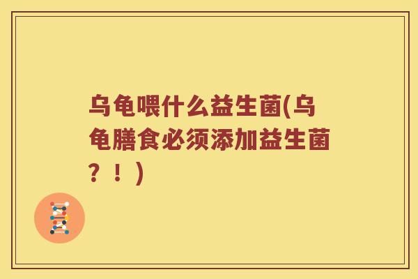 乌龟喂什么益生菌(乌龟膳食必须添加益生菌？！)